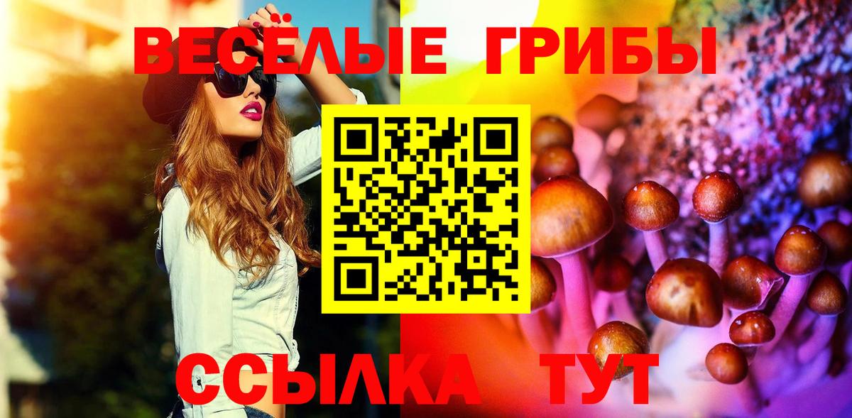 Псилоцибиновые грибы мицелий  Псилоцибиновые грибы мухоморы  Вышний Волочёк  Вход с VPN 