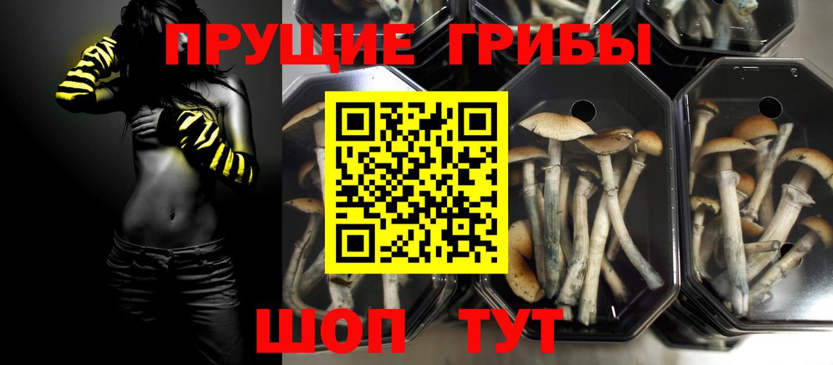 Галлюциногенные грибы мицелий Вышний Волочёк